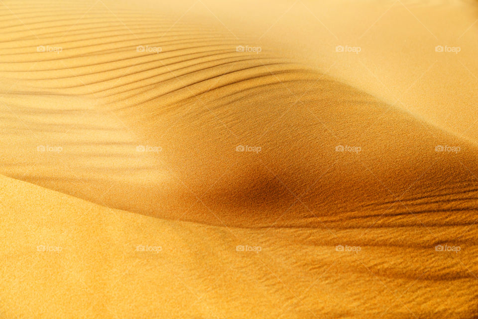Desert sand dunes closeup