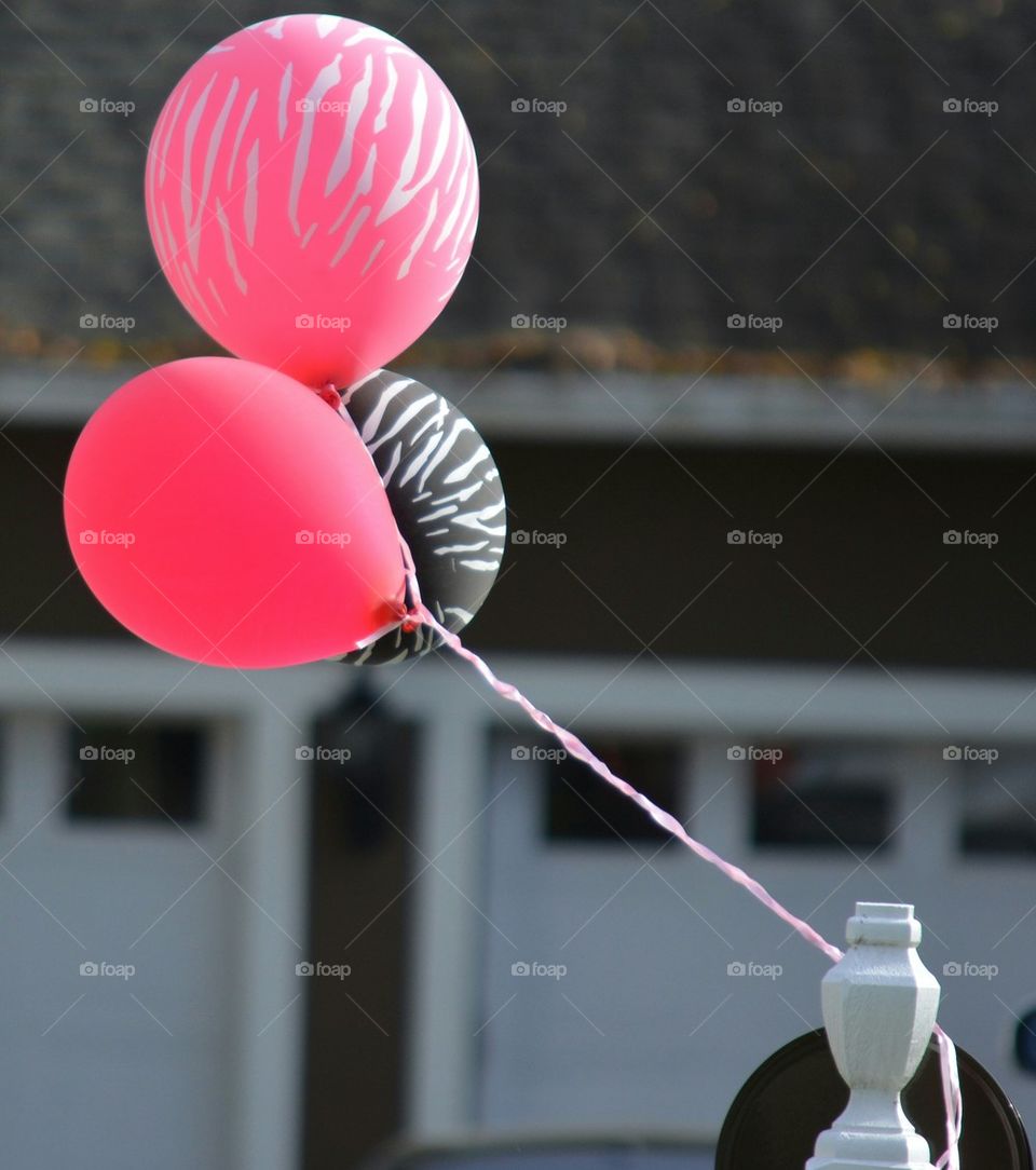 Balloons for Party