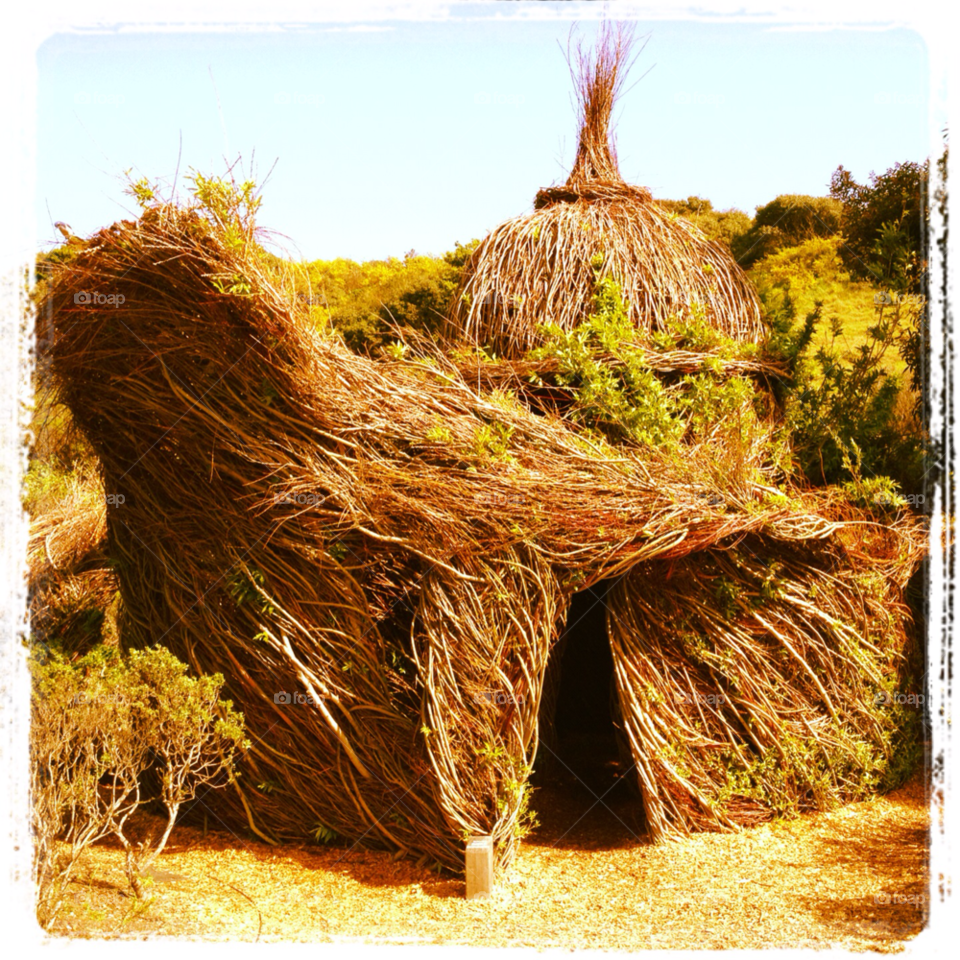 california treehouse wicker tree fort by threeboydad