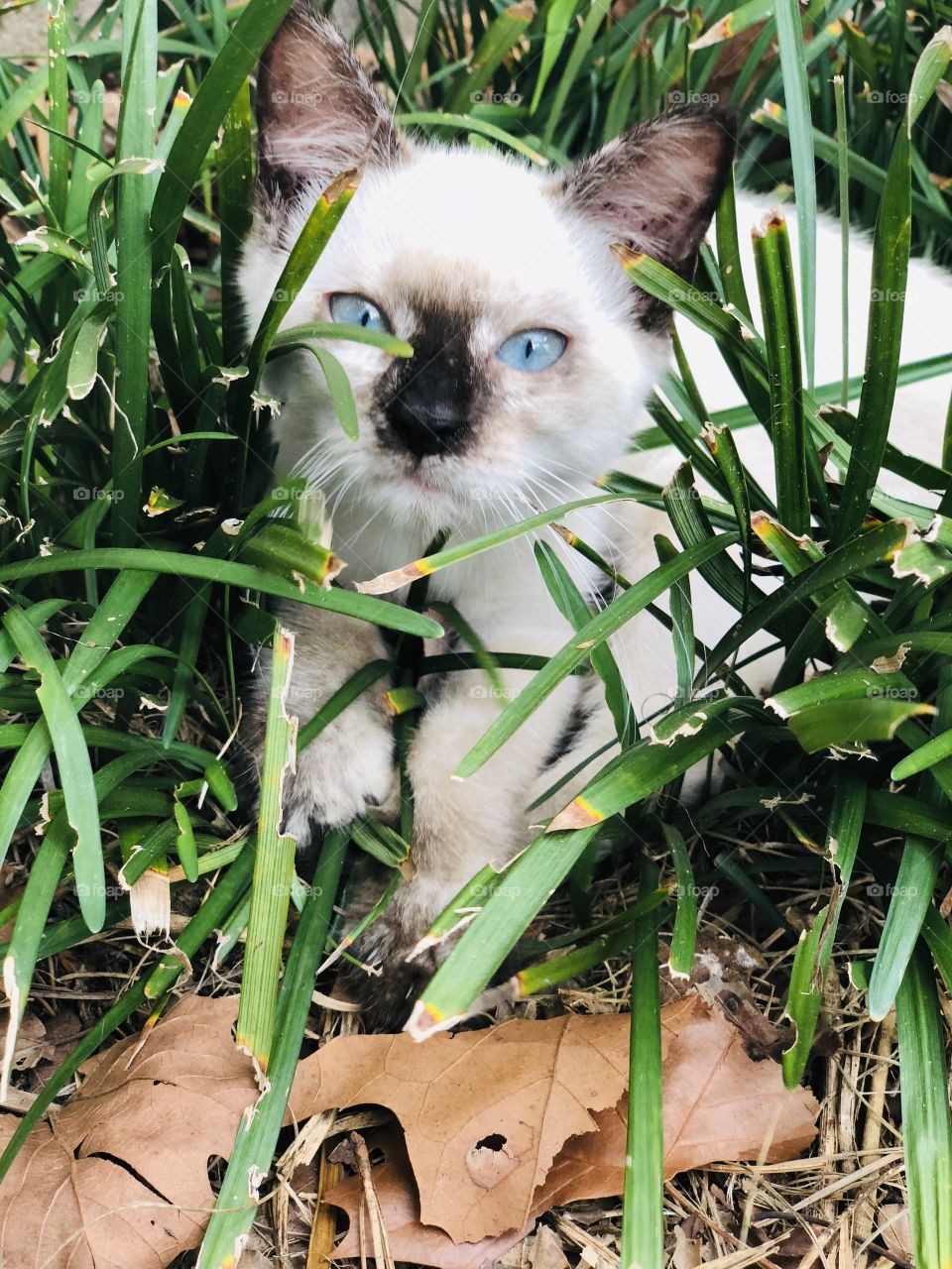 Shhhh! I’m hiding! 