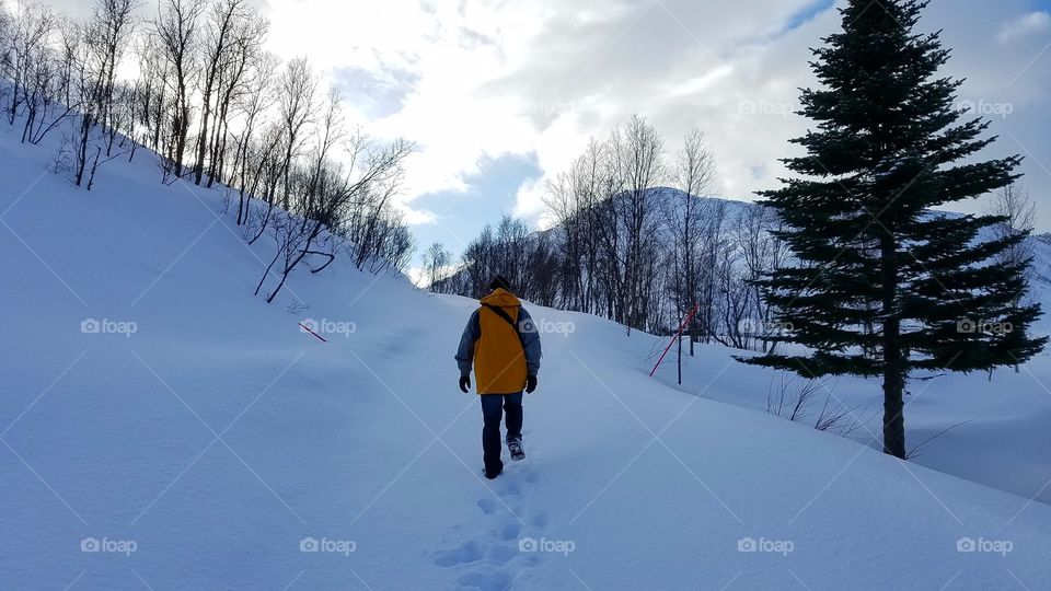 Walking on the snowy day