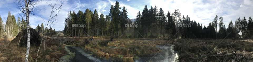 Les Pontins Naturschutzgebiet 