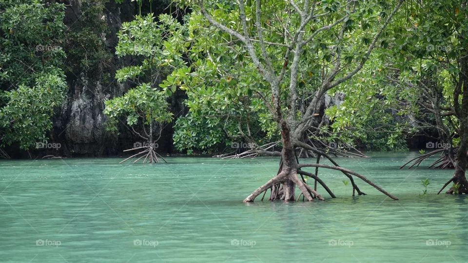 Thailand 