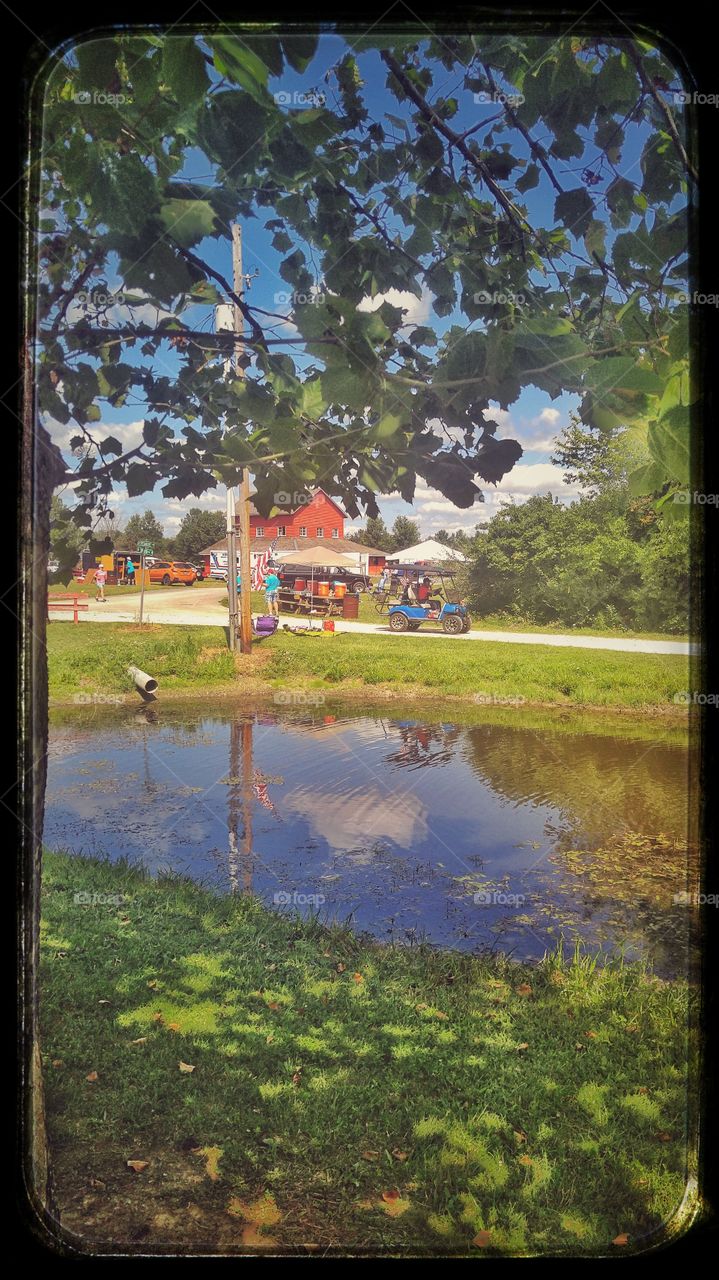 Park pond reflections