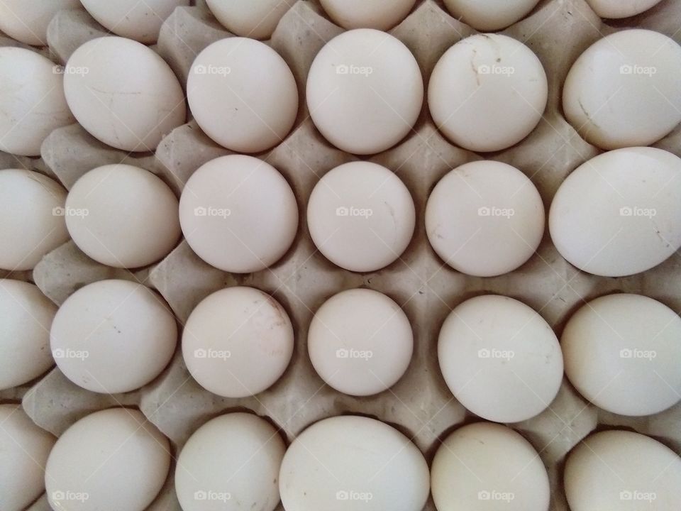 eggs