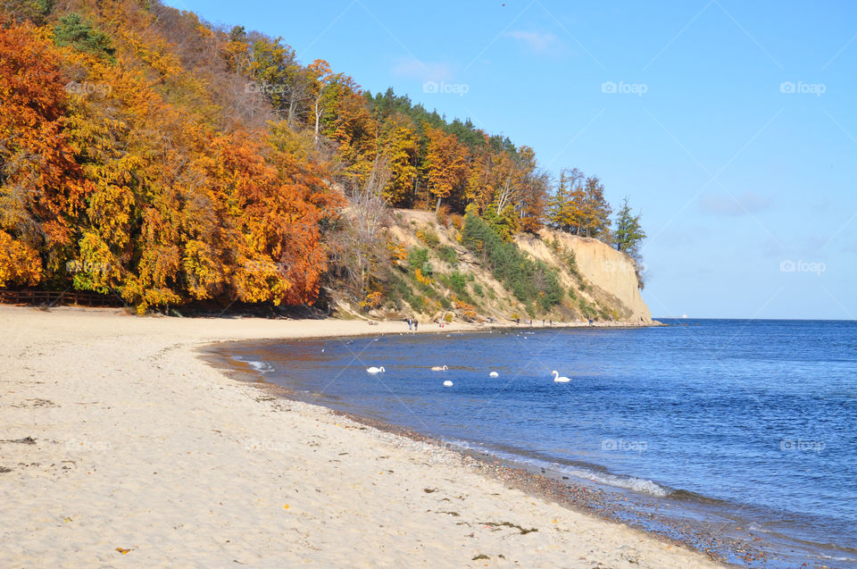 The baltic sea view 