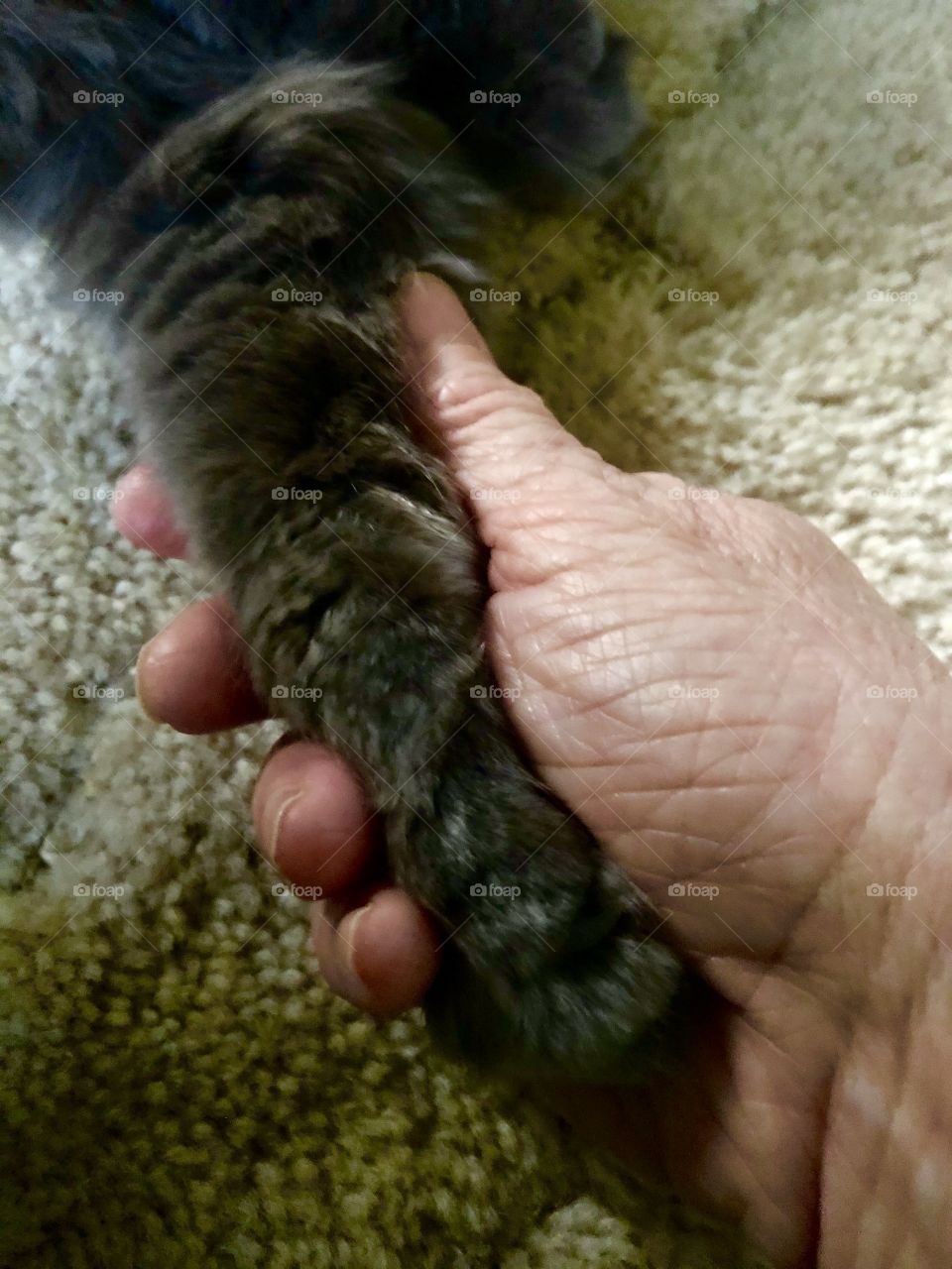 Goodbye my old friend