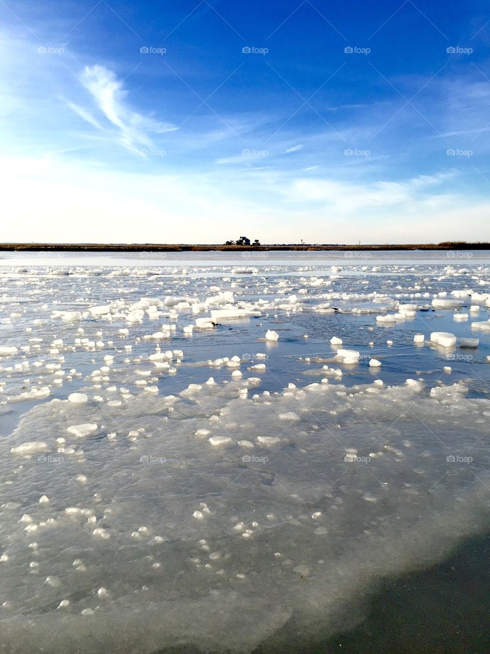 Frozen Bay