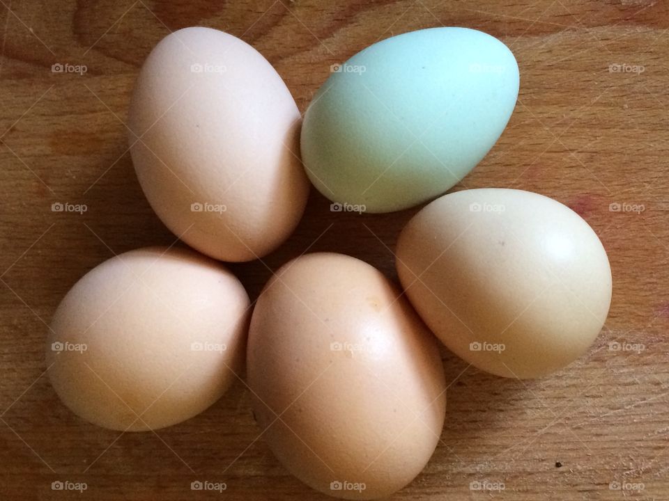 Backyard Chicken Eggs!