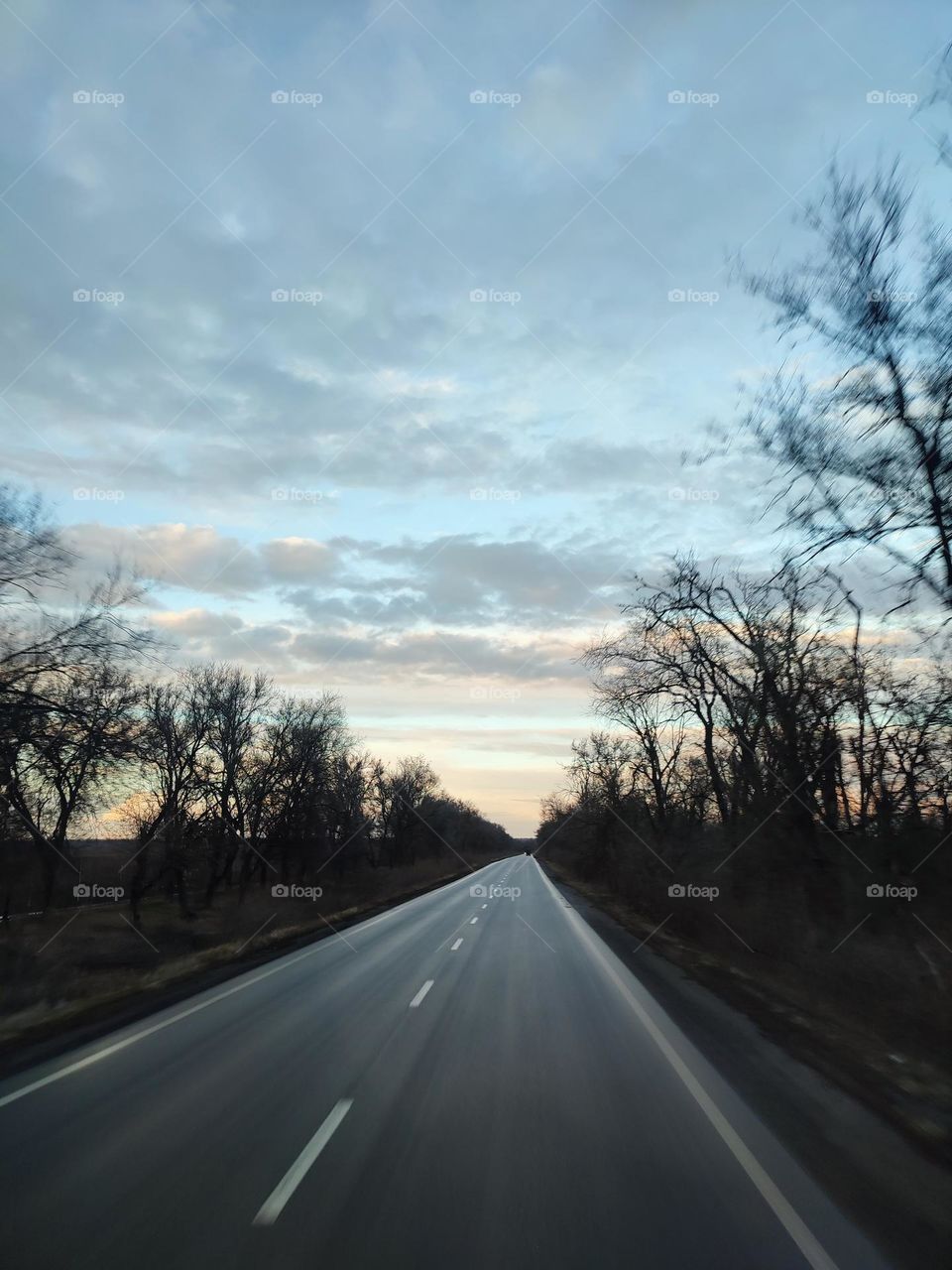 On the highway. Gray asphalt highway, dark trees along the road. Colorful sunset sky with beautiful clouds. Journey, road trip, driving on the highway. Early spring evening, horizon line