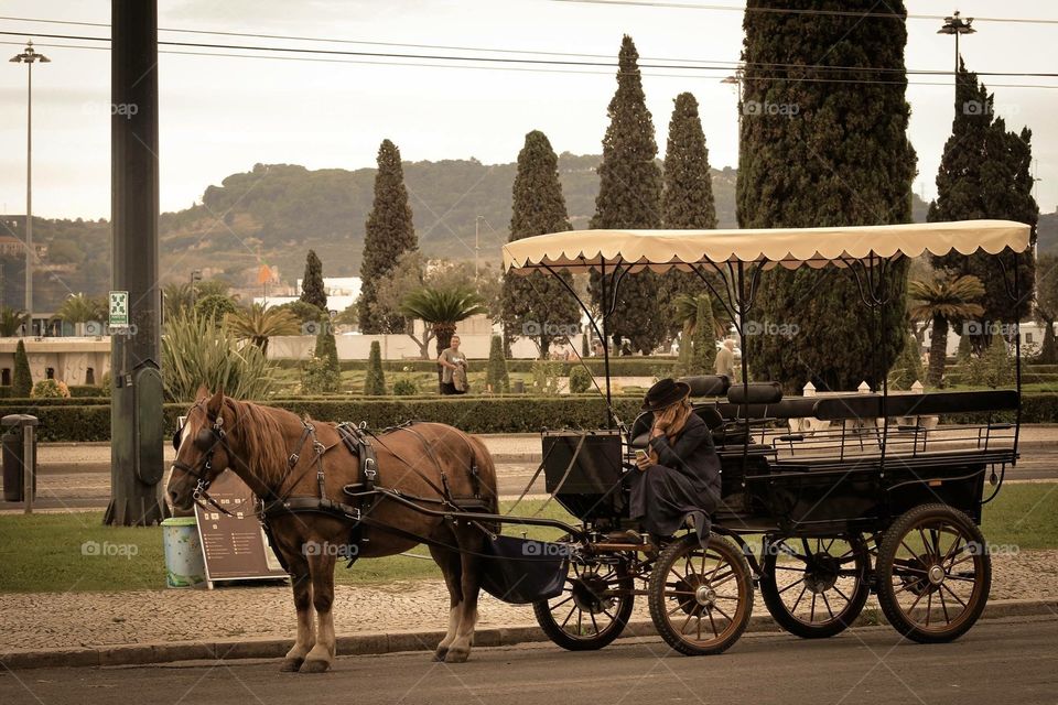 Carriage, People, Transportation System, Cavalry, Cart
