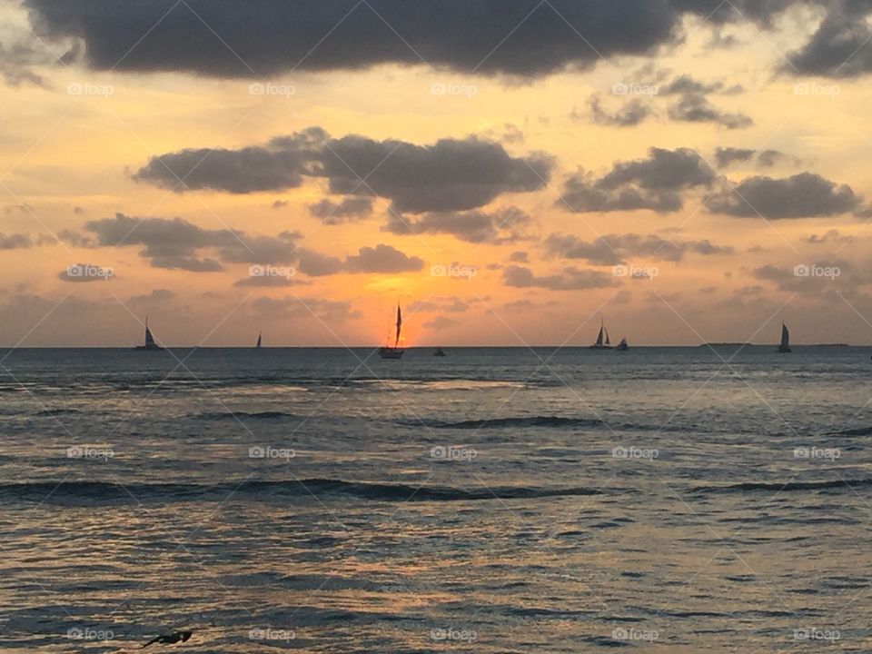Sailboats in the sunset, Key West, FL