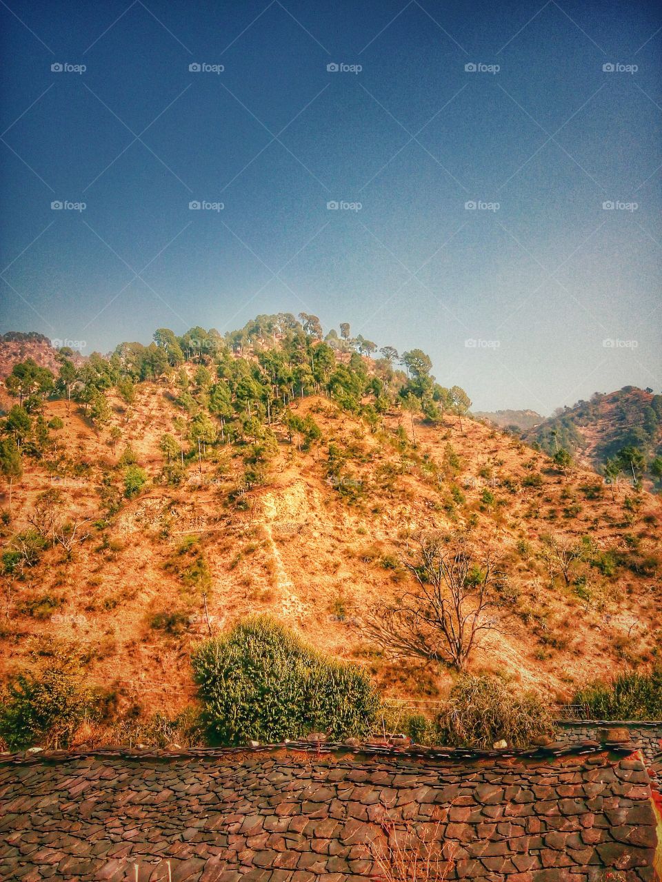 beautiful village....