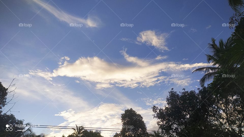 Isn't it pretty amazing how fast these  clouds transform under the influence of the wind? For one second it resembles a dolphin, and in the next a cat. Pretty intriguing.