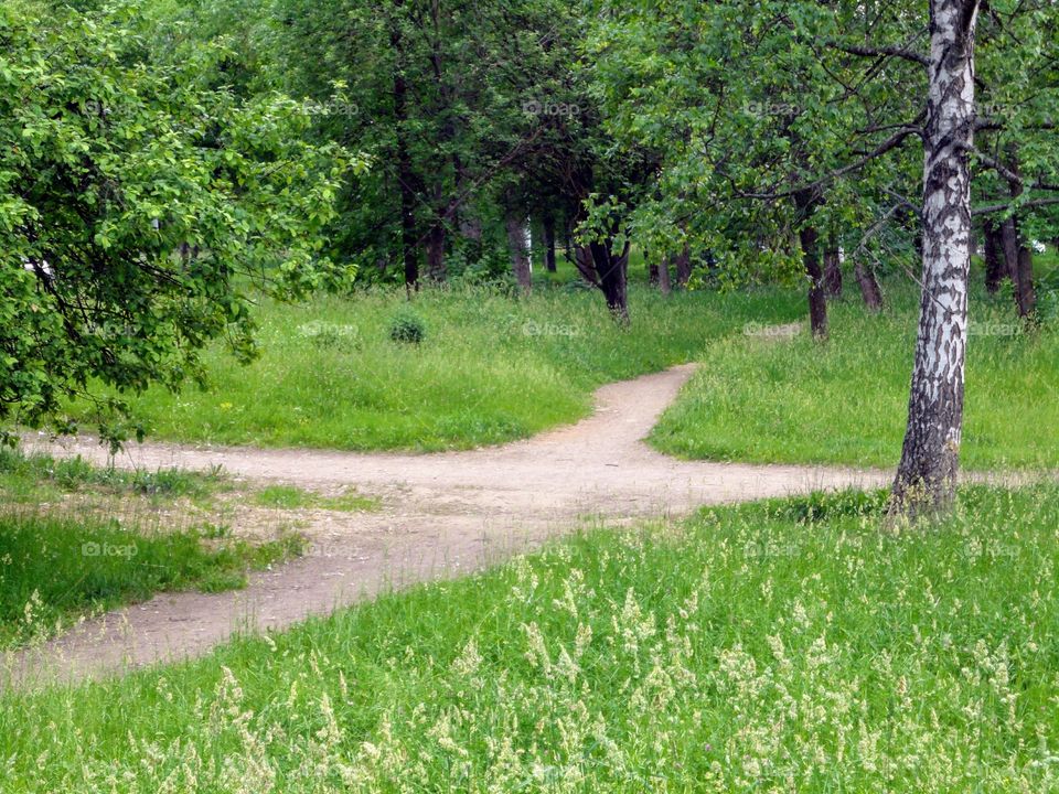 crossroads green landscape in the park symbolism