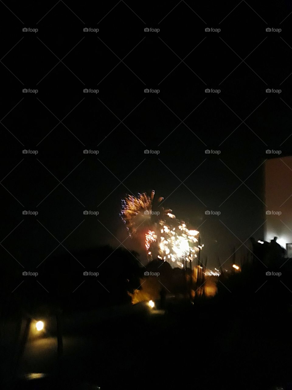 Lovely color of the fireworks