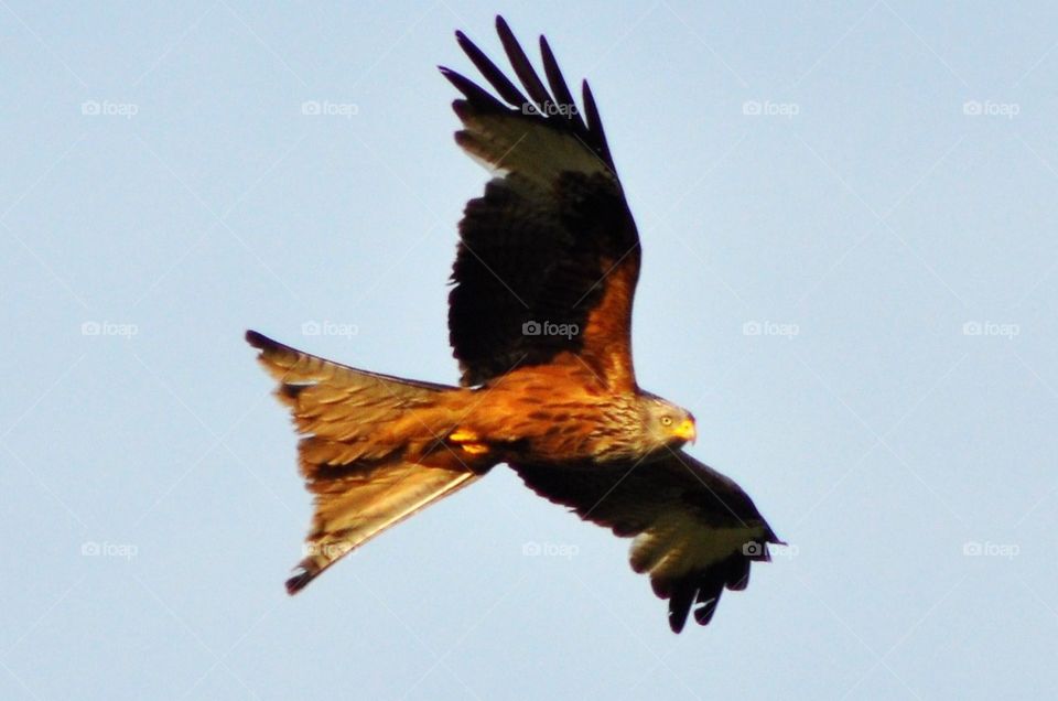 Just making Photos:-)