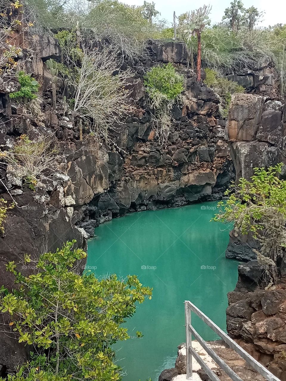 Galapagos Canal of love