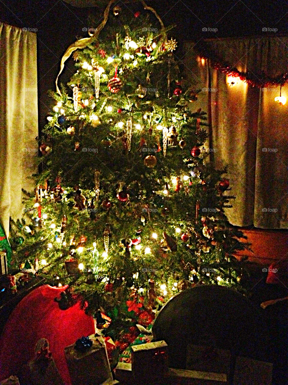 Christmas, Christmas Tree, Tree, Celebration, Light