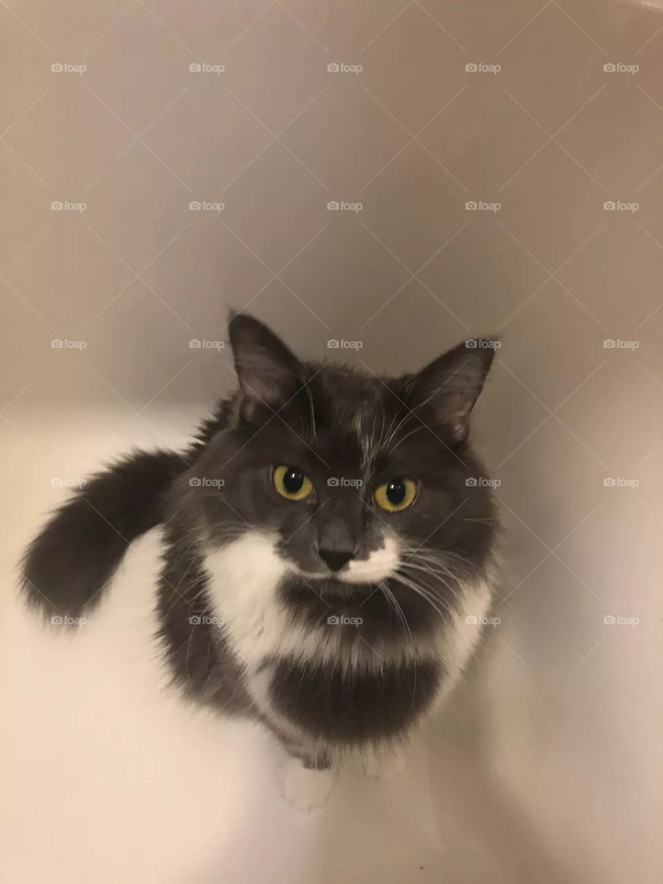 Look at me 