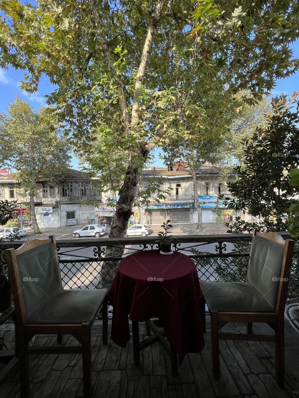 Tea with a green view