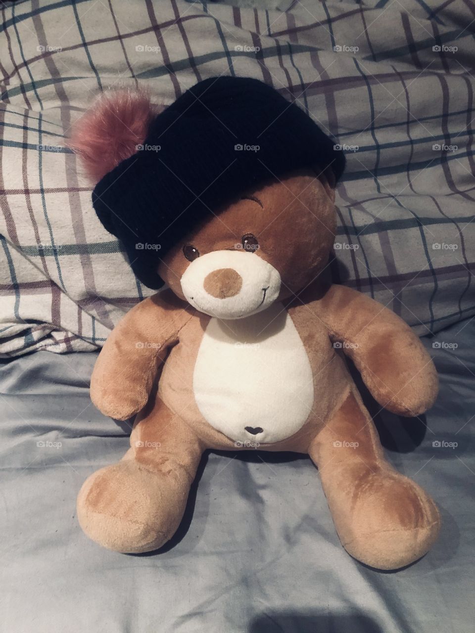 Teddy in a hat 