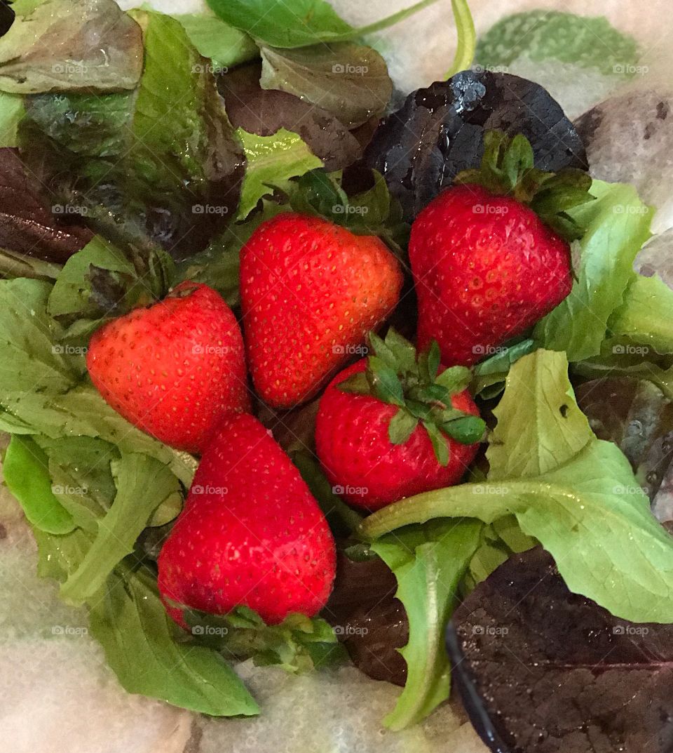 Strawberries with baby romaine lettuce. 