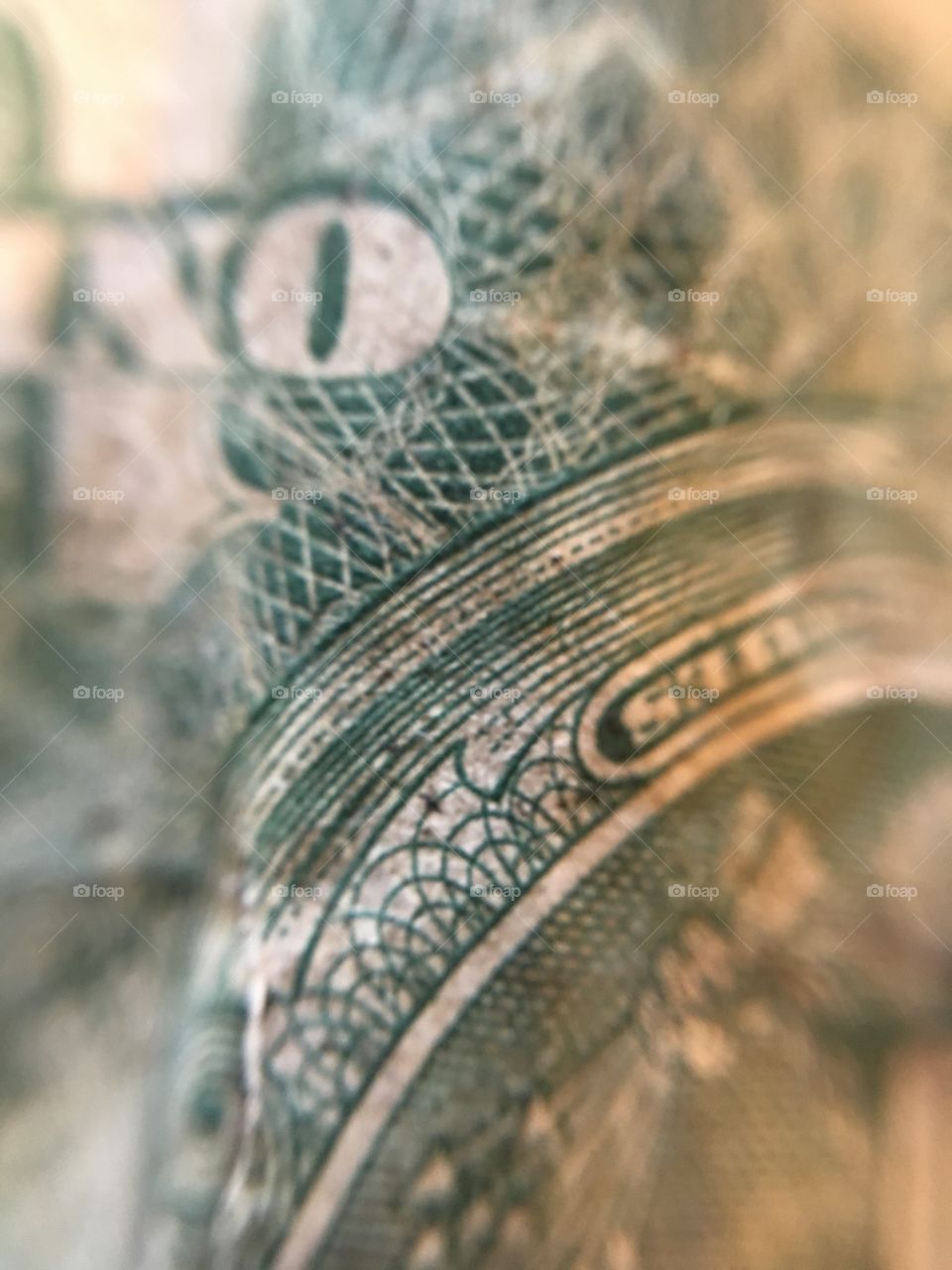 Green Dollar close up