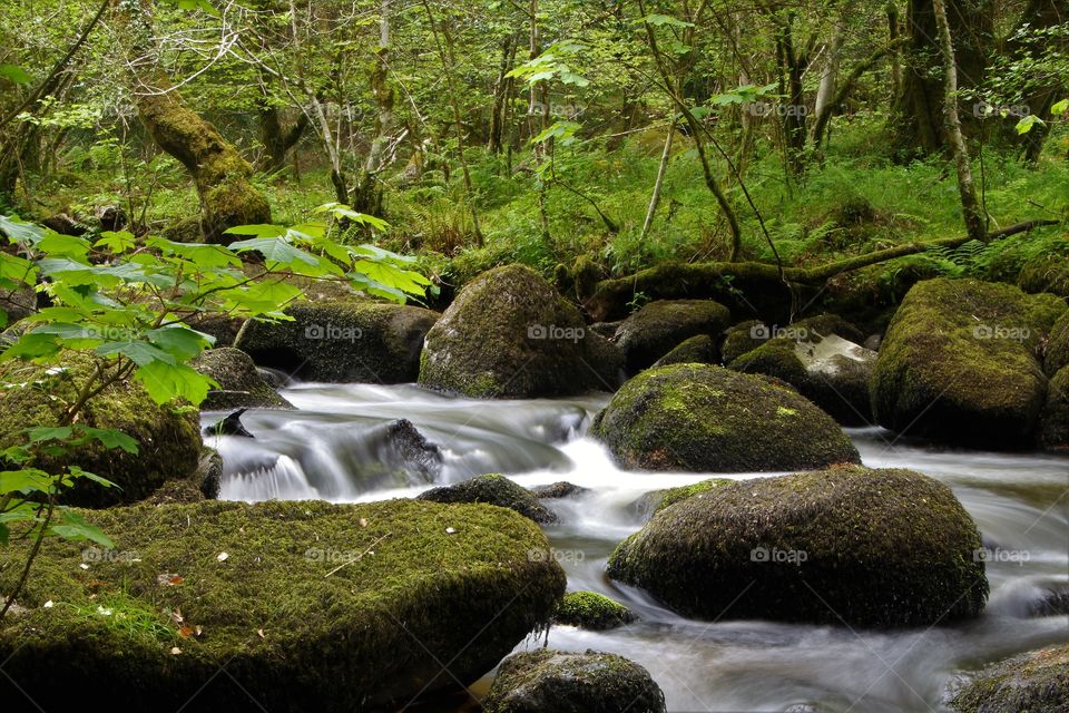 River runs through