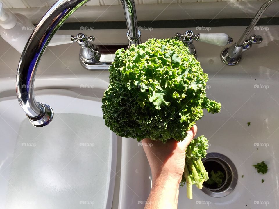 Holding Kale