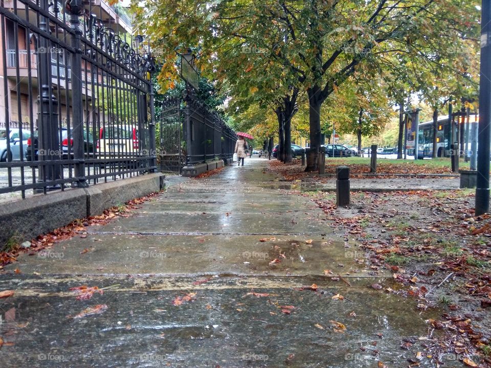 Picture taken while walking to my university.