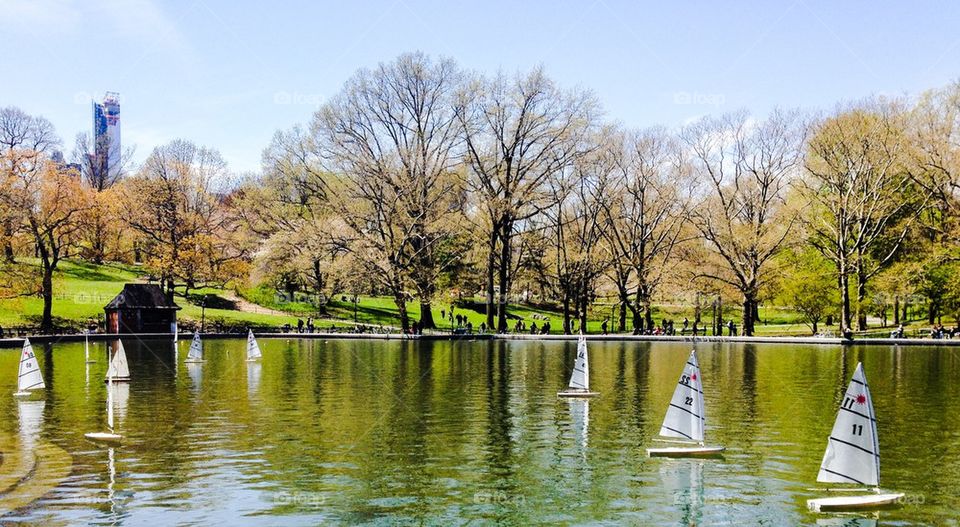 Central Park sailboats in spring