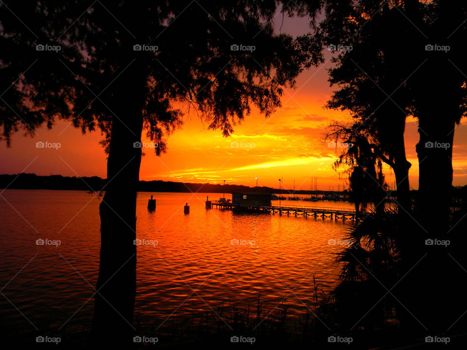 Evening sky . Dusk at the Bayou