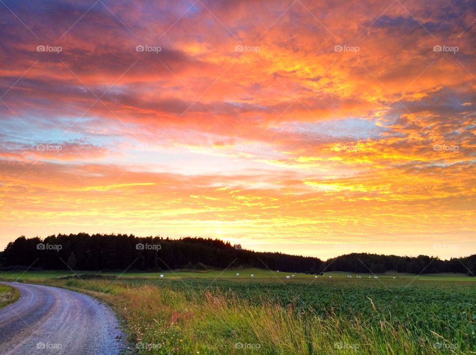 Scenic view of sunset