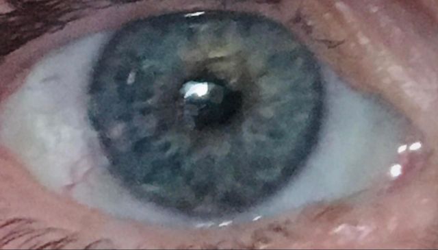 An even closer closeup of Timothy’s left eye showing great detail incl the reflected mirror image of who or whatever he is looking at and who is looking at him. Multifaceted patterning in the iris can also be seen. 2017. Hypnotic Productions