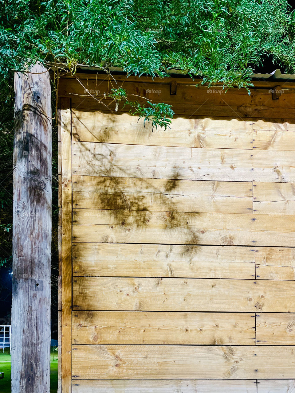 Looking for shadows. Shadow on wooden pannel