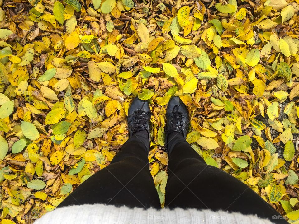 Top view of feet wearing black sneakers in pile of fallen yellow leaves 