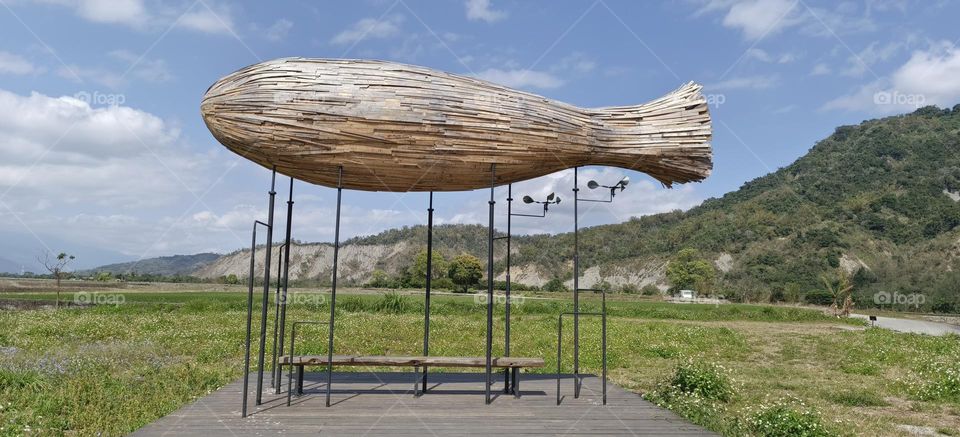 Looking at the scenery under a cloud like a fish