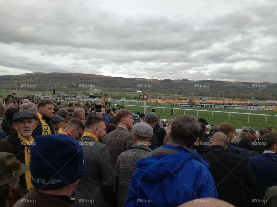 day at the races