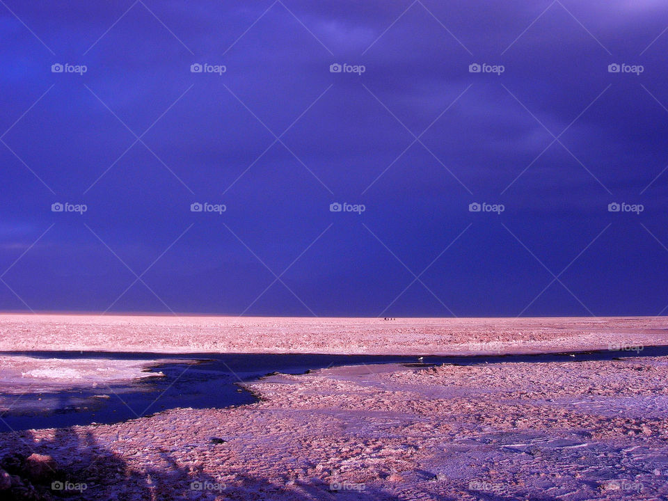 Scenic view of desert