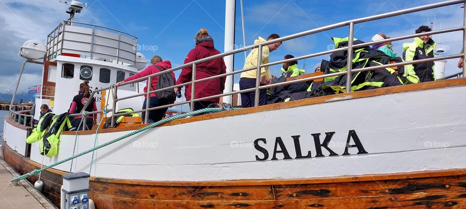 Exploring the ocean. Whalewatching in Húsavik, Iceland, onboard Salka.